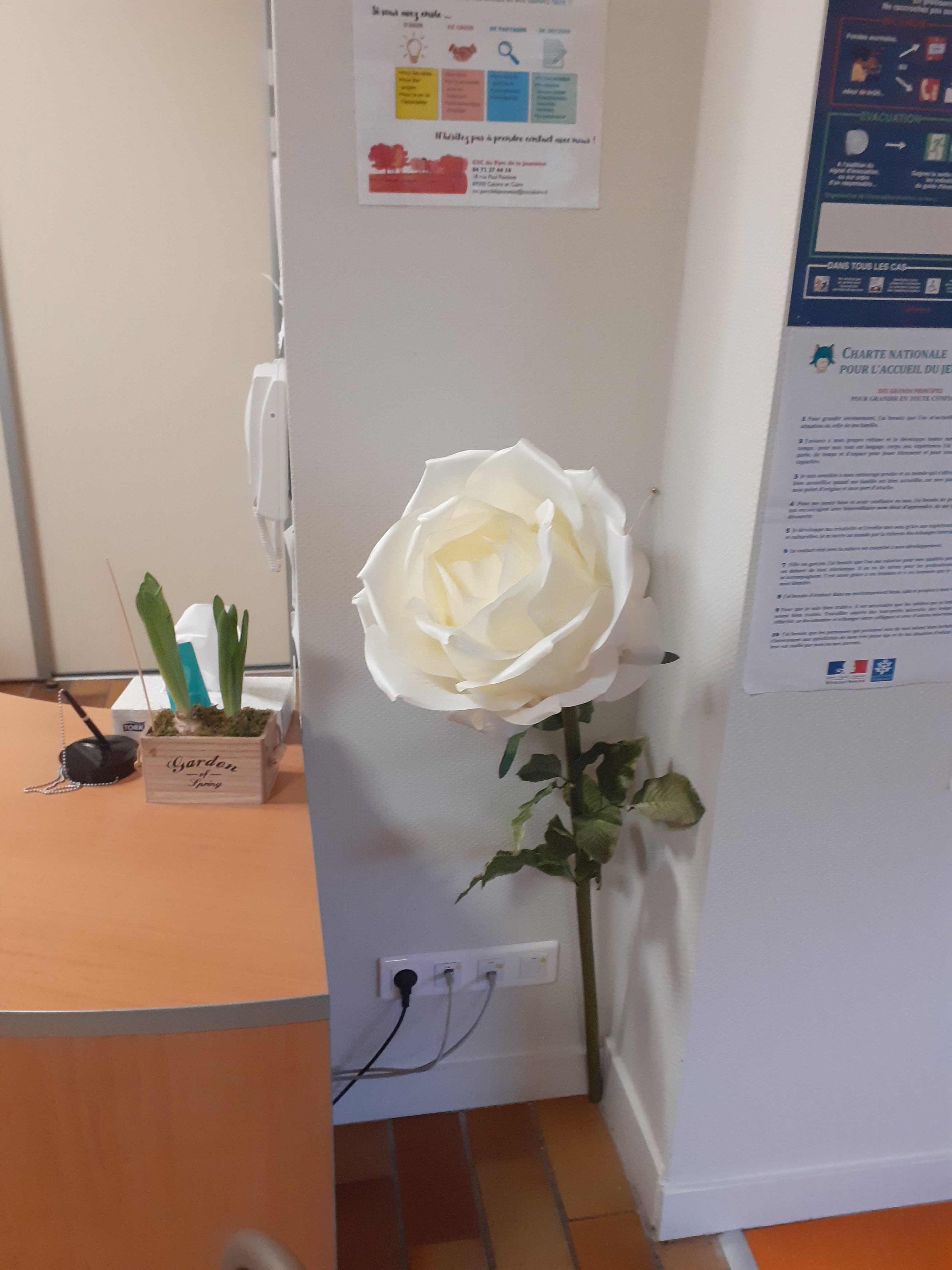 Photo n° 1 de l'avis de laure.E fait le 16/03/2023 à 22:28