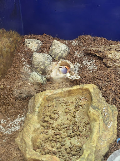 Pet Supply Store «PetSmart», reviews and photos, 9887 76th St, Pleasant Prairie, WI 53158, USA