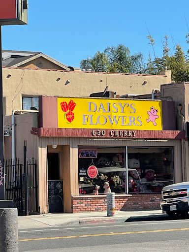 Daisy Flowers, 626 Cherry Ave, Long Beach, CA 90802, USA, 