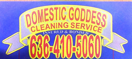Domestic Goddess Cleaning in St. Louis, Missouri
