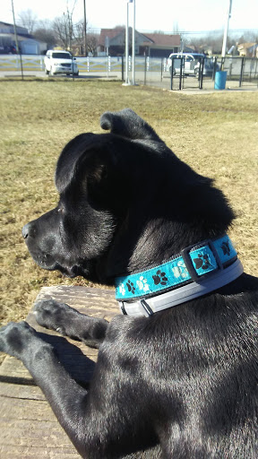 Park «Smock Golf Course», reviews and photos, 3910 County Line Rd, Indianapolis, IN 46237, USA