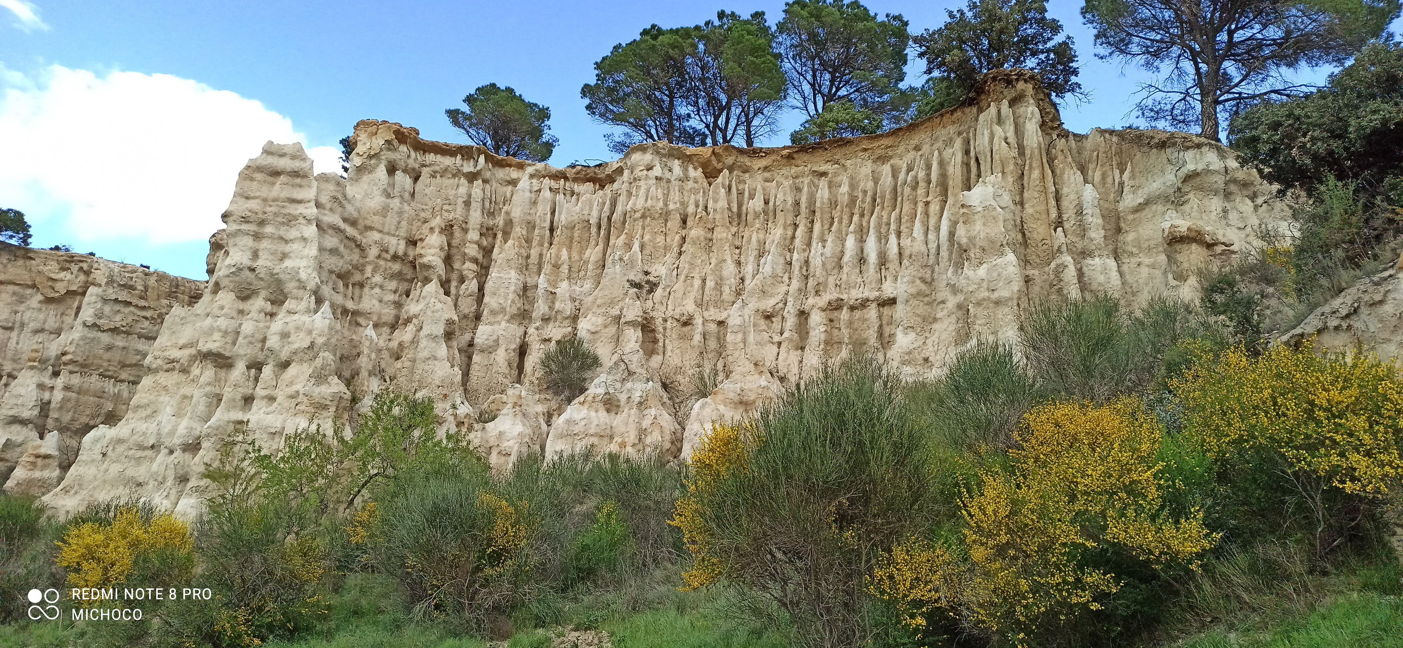 Photo n° 2 de l'avis de Michel.i fait le 21/03/2021 à 16:50