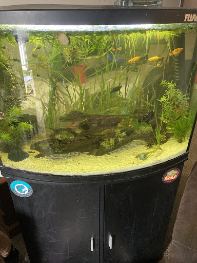 Pet Store «Woofs & Waves», reviews and photos, 5426 Arrowhead Pkwy E, Sioux Falls, SD 57110, USA