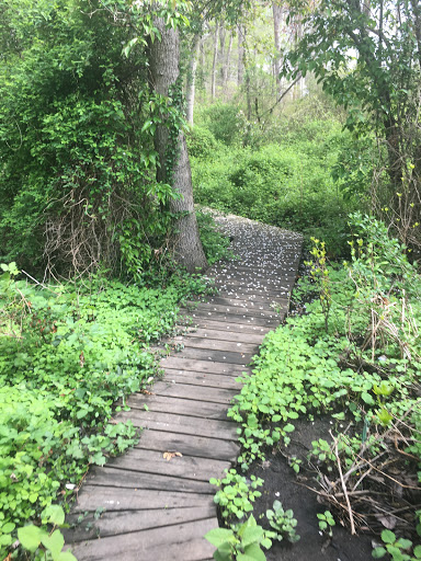 Nature Preserve «Brookside Preserve», reviews and photos, N Brookside Ave, Roosevelt, NY 11575, USA