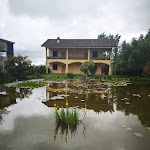 Photo n°1 de l'avis de Sara.i fait le 05/05/2019 à 06:36 sur le  Il Focarile: ristorante à la carte, villa per ricevimenti, eventi, pranzi e cene aziendali à Aprilia