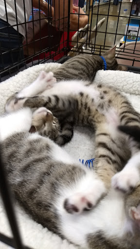 Pet Supply Store «PetSmart», reviews and photos, 6960 Amador Plaza Rd, Dublin, CA 94568, USA