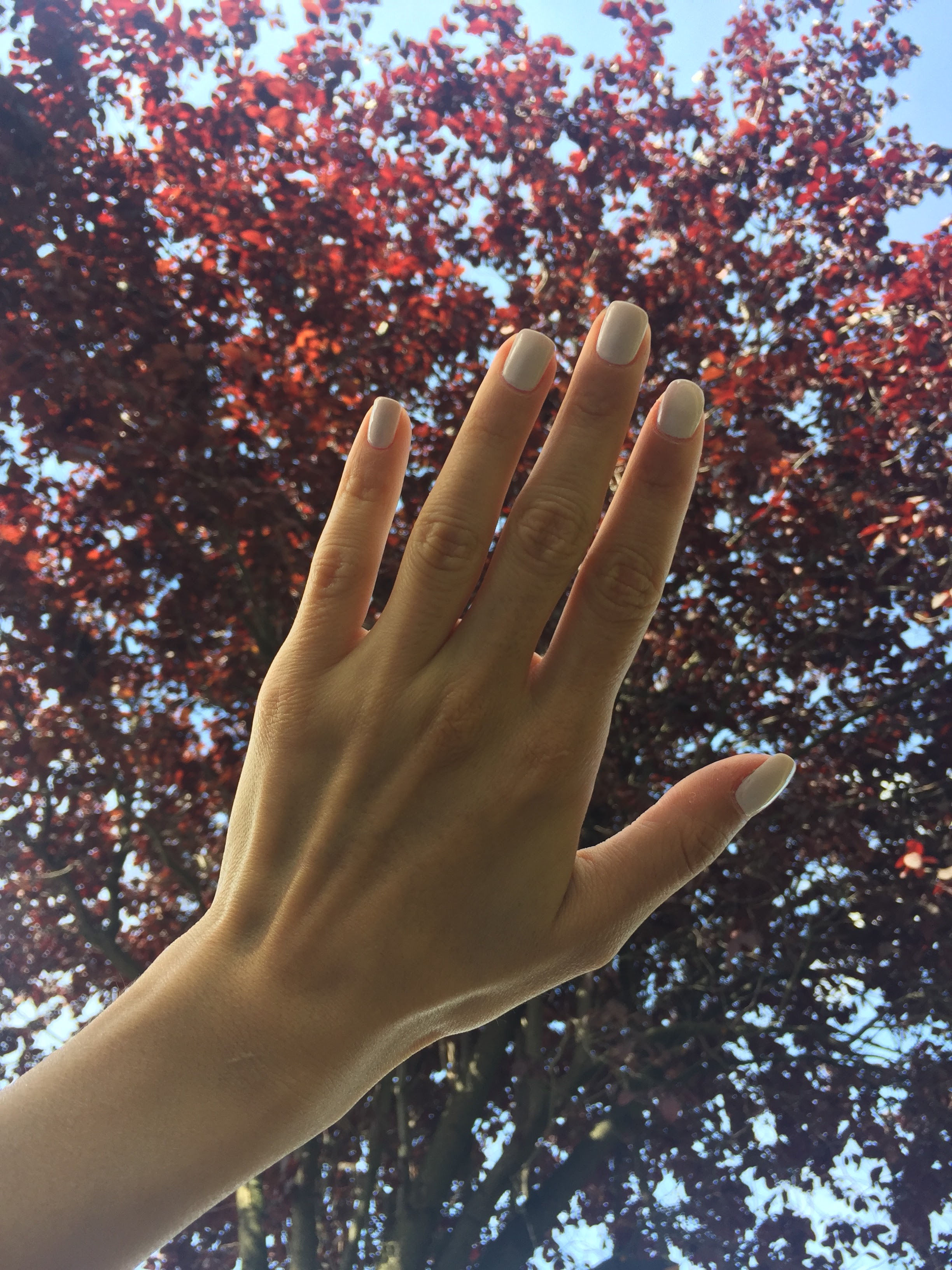 Photo n° 1 de l'avis de Azin.o fait le 21/07/2019 à 15:47