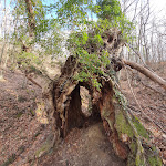 Photo n°2 de l'avis de Agostino.g fait le 04/02/2022 à 17:00 sur le  Bar Zocchi Di Zocchi Massimo à Montemonaco