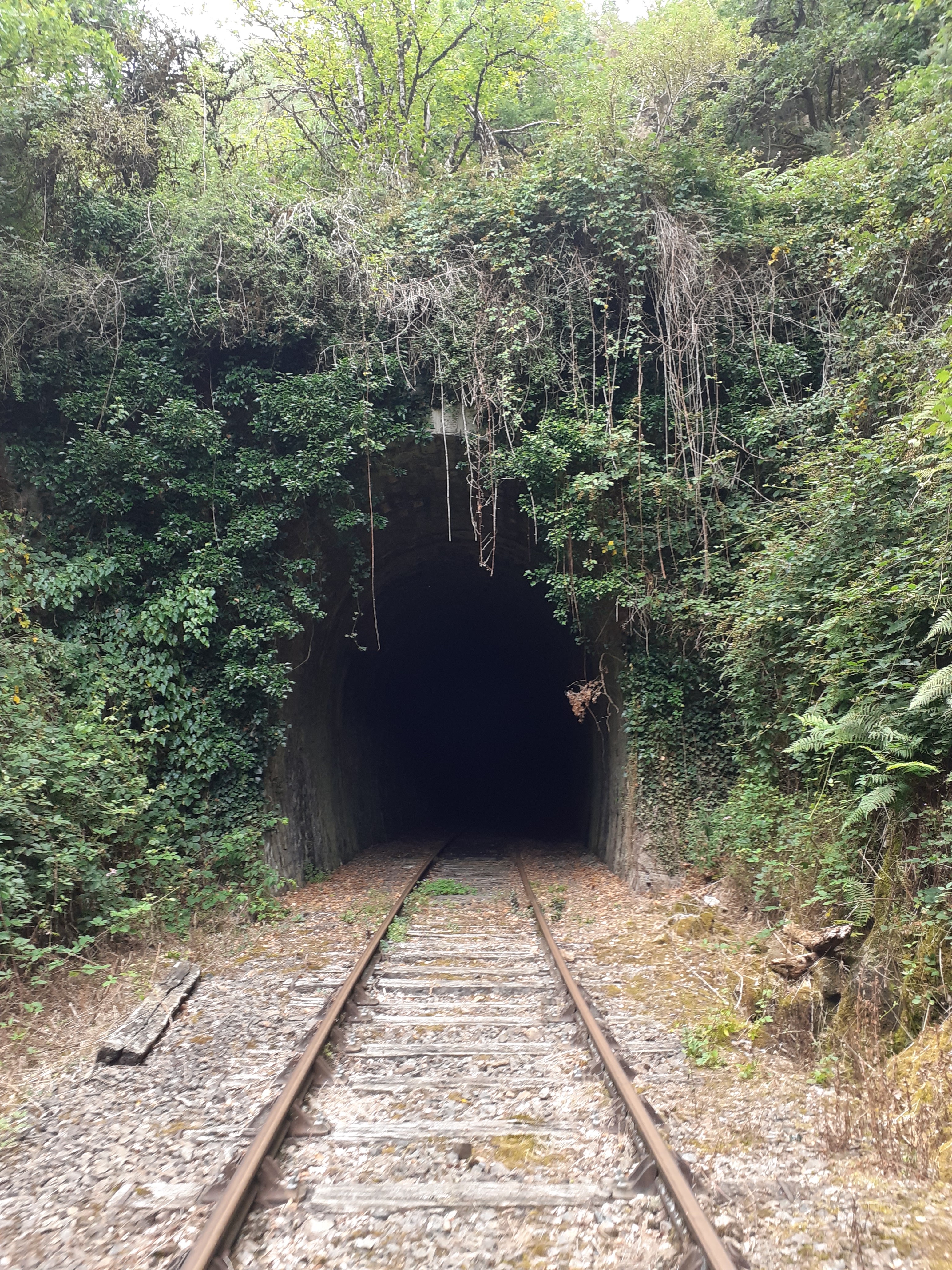Photo n° 3 de l'avis de Thomas.u fait le 31/08/2023 à 20:47