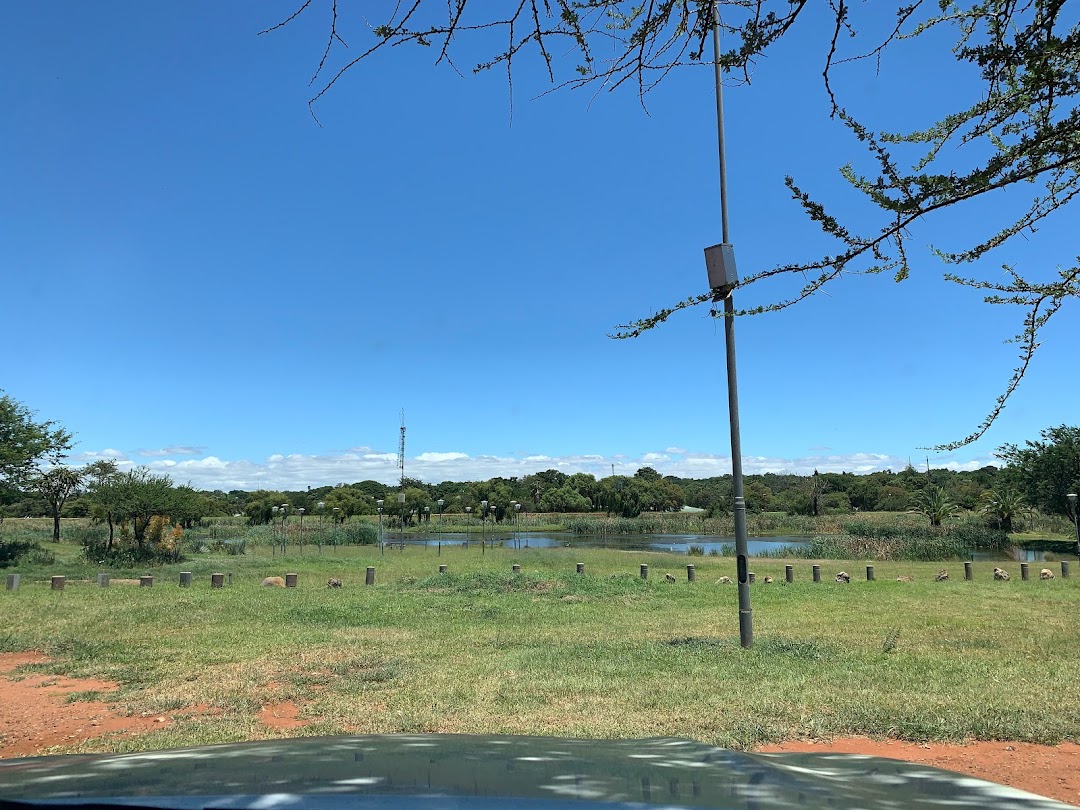 Flora Park Dam in the city Polokwane
