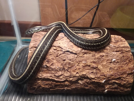 Nature Preserve «Bartlett Nature Center», reviews and photos, 2054 W Stearns Rd, Bartlett, IL 60103, USA