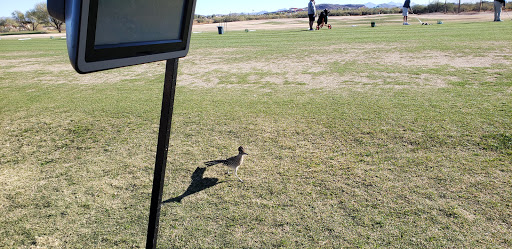 Golf Course «The 500 Club», reviews and photos, 4707 W Pinnacle Peak Rd, Glendale, AZ 85310, USA