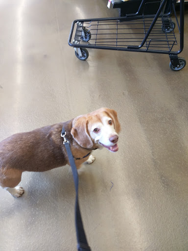 Pet Supply Store «Pet Supplies Plus», reviews and photos, 1237 Concord Pkwy N, Concord, NC 28025, USA