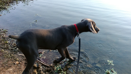 Park «Buffalo Trace Park», reviews and photos, 1540 US-150, Palmyra, IN 47164, USA