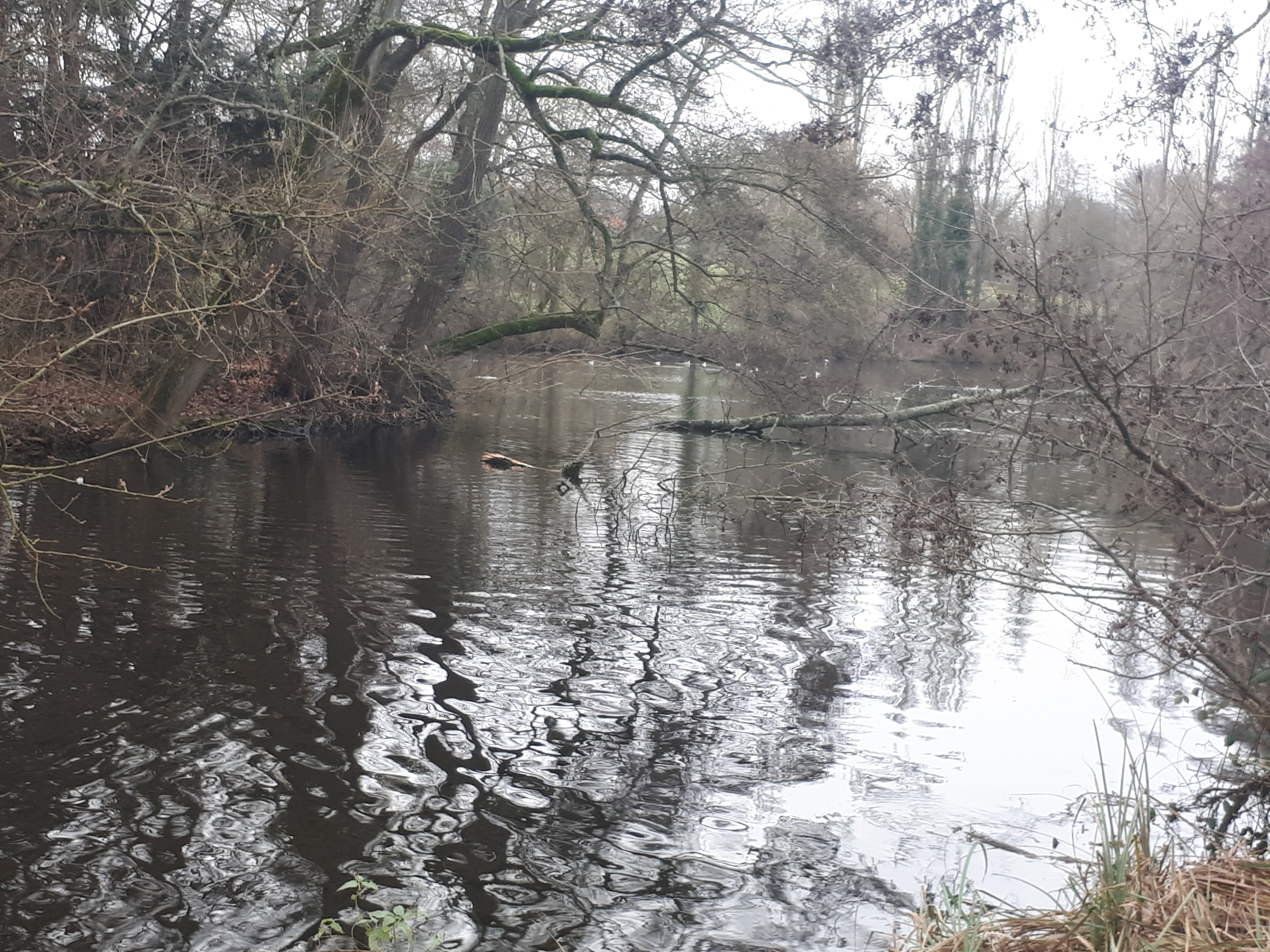 Photo n° 6 de l'avis de Magali.e fait le 07/01/2018 à 16:08