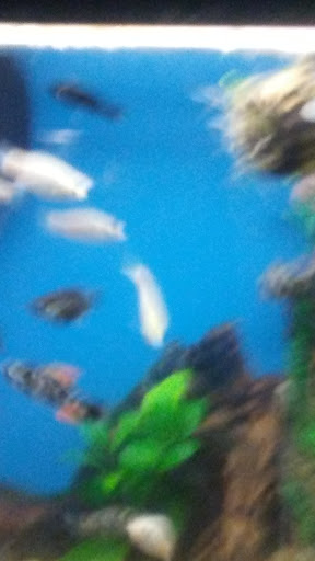 Pet Supply Store «Pet Supplies Plus», reviews and photos, 1377 N 21st St, Newark, OH 43055, USA