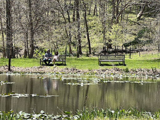Modern Art Museum «Glenstone», reviews and photos, 12002 Glen Rd, Potomac, MD 20854, USA