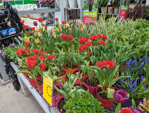 Home Improvement Store «The Home Depot», reviews and photos, 702 65th St, Galveston, TX 77551, USA