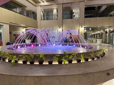 Google Maps image 21