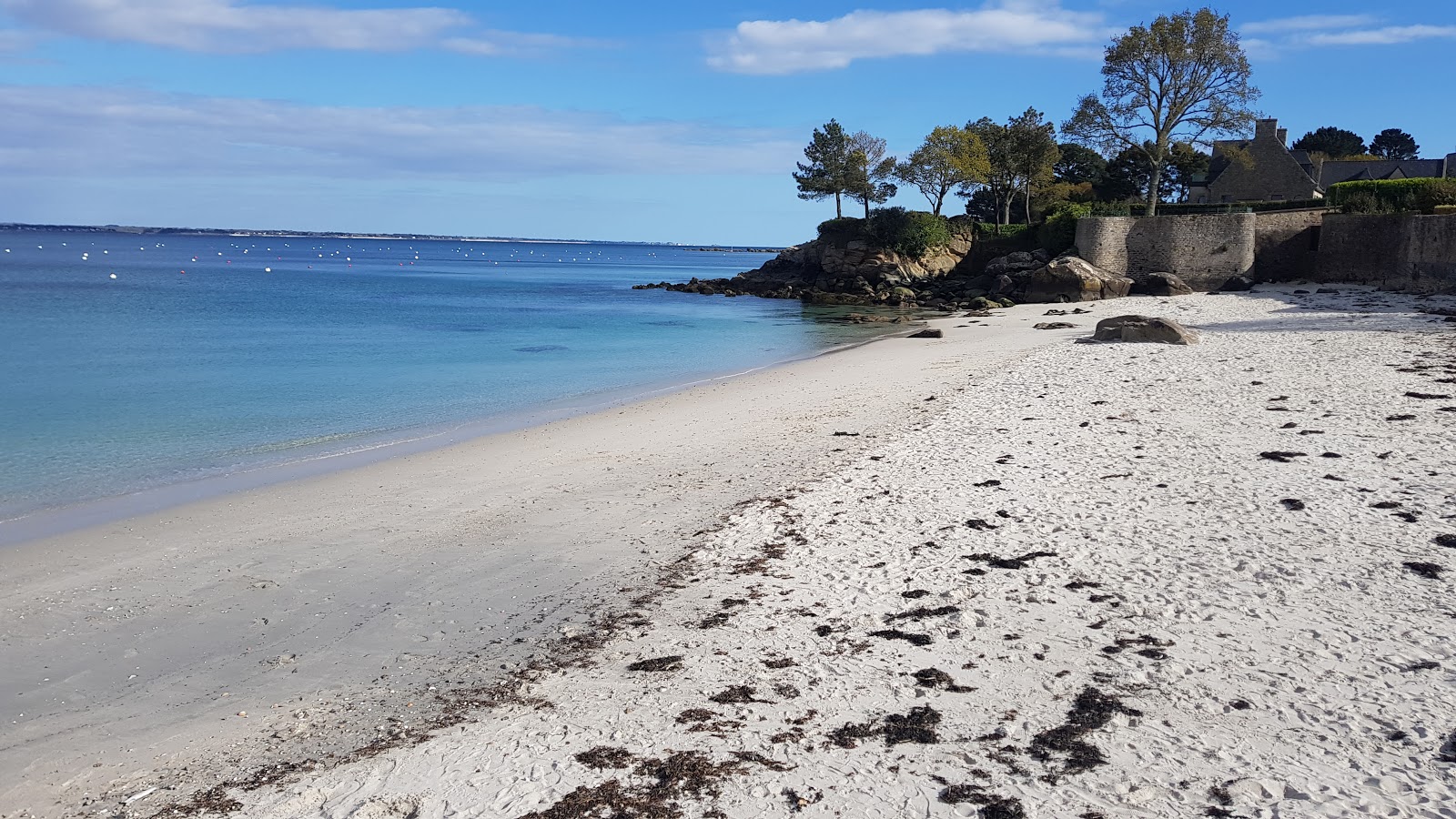 Zdjęcie Plage des Oiseaux II z poziomem czystości wysoki