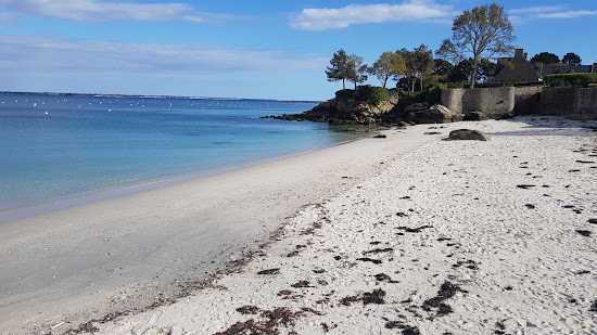 Plage des Oiseaux II
