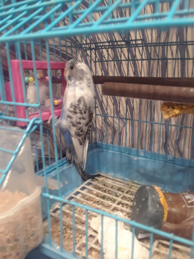 Pet Supply Store «PetSmart», reviews and photos, 901 US-1, North Brunswick Township, NJ 08902, USA