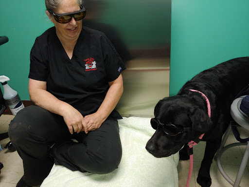 Twin City Animal Hospital image