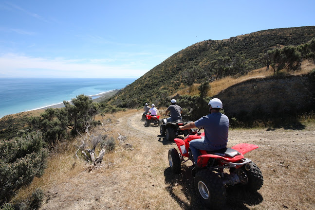 Reviews of Wellington Adventures - Quad Bike Expeditions in Lower Hutt - Car dealer