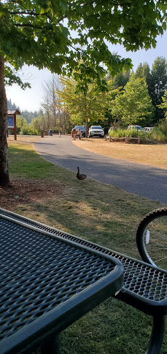Park «Cottage Lake Park», reviews and photos, NE Woodinville Duvall Rd, Woodinville, WA 98072, USA