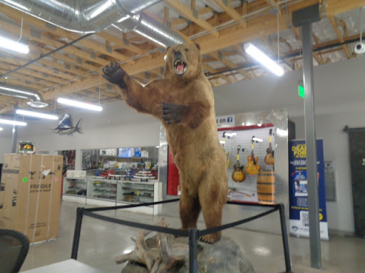 Loan Agency «Mo Money Pawn», reviews and photos, 1152 E Indian School Rd, Phoenix, AZ 85014, USA