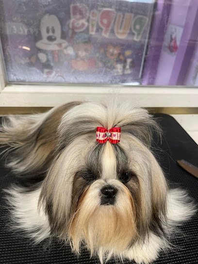 Peluquería Canina Pupis Fashion Style - Servicios para mascota en Logroño
