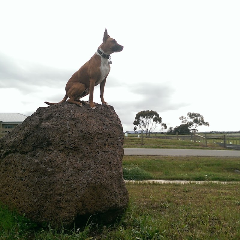 Bannockburn Public Purposes Reserve