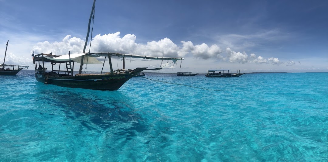 bluewavediving-zanzibar