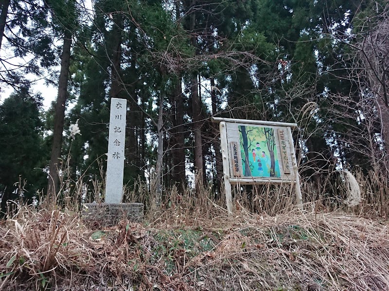 衣川記念林