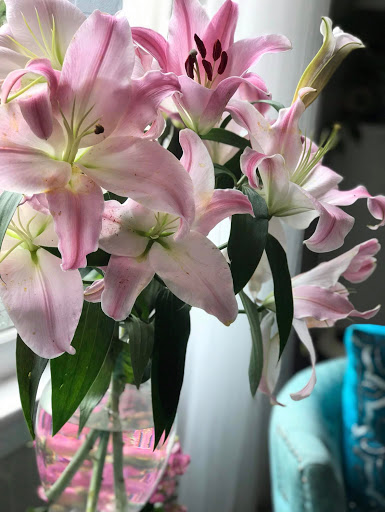 Hair Salon «Sepulveda Hair Studio», reviews and photos, 110 W Indiana Ave #102, DeLand, FL 32720, USA