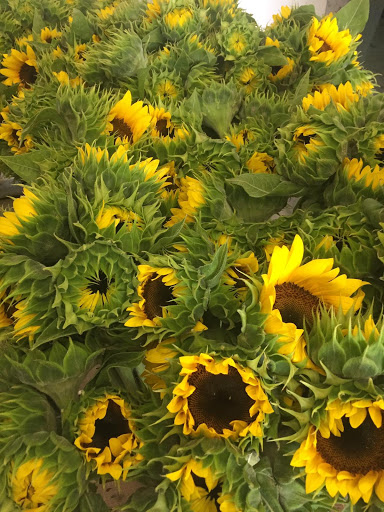 Florist «Floreria Alcatraz», reviews and photos, 159 Aldine Bender Rd #174, Houston, TX 77060, USA