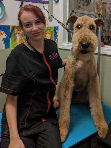 Pet Groomer «A Klassy Lassie, LLC», reviews and photos, 30 Old Jackson Rd, McDonough, GA 30252, USA