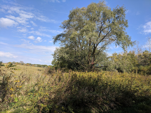 Nature Preserve «Arthur L. Janura Forest Preserve», reviews and photos, IL-58, Elgin, IL 60120, USA