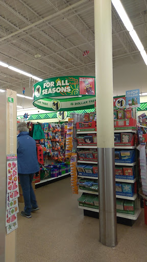 Dollar Store «Dollar Tree», reviews and photos, 1031 E Oakton St, Des Plaines, IL 60018, USA