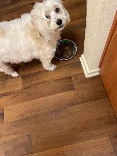 Pet Supply Store «PetSmart», reviews and photos, 33963 Doheny Park Rd, San Juan Capistrano, CA 92675, USA