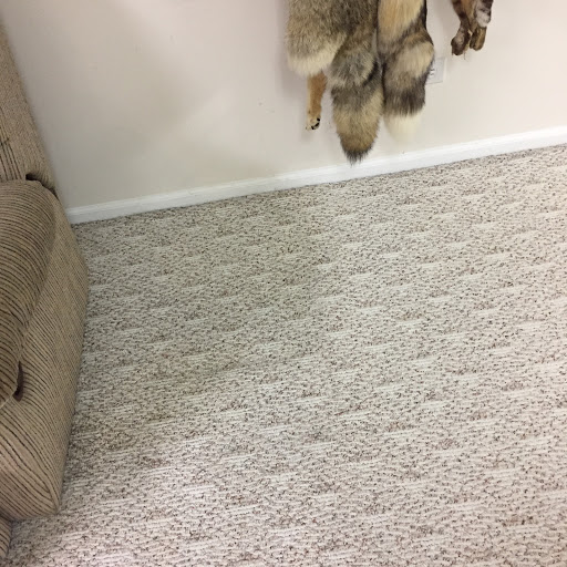 West Chicago Carpet Cleaner in West Chicago, Illinois