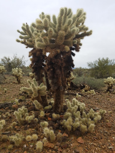 Nature Preserve «Cave Buttes Recreation Area», reviews and photos, N 7th St & E Happy Valley Rd, Phoenix, AZ 85024, USA