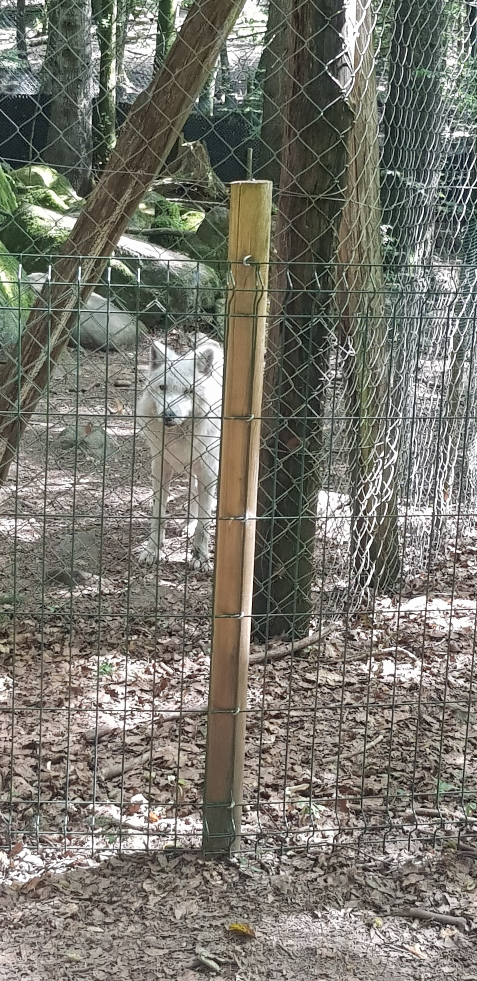 Photo n° 1 de l'avis de Hervé.E fait le 26/08/2020 à 12:43
