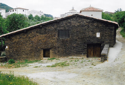 Museo - Museo Del Olivo - Casar de Palomero