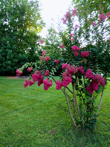 Park «Fannie Mae Dees Park», reviews and photos, 2400 Blakemore Ave, Nashville, TN 37212, USA