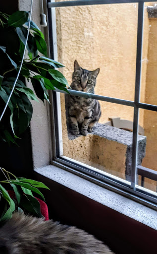 Hardware Store «American River Ace Hardware», reviews and photos, 9500 Greenback Ln #10, Folsom, CA 95630, USA