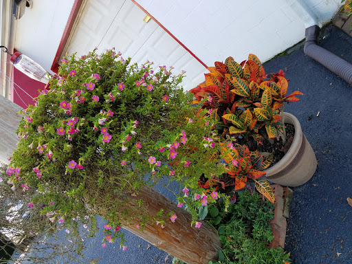 Auto Repair Shop «Quality Collision», reviews and photos, 2110 S Walnut St, Bloomington, IN 47401, USA