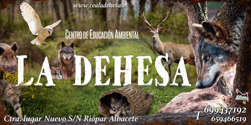 Centro de Educación Ambiental La Dehesa   - El Lugar Nuevo SN, 02450 Riópar, Albacete, España
