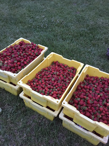 Winery «Glaciers Edge Winery», reviews and photos, 1636 SE 85th St, Wakarusa, KS 66546, USA