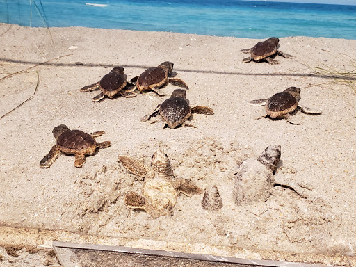 Aquarium «Newport Aquarium», reviews and photos, 1 Aquarium Way, Newport, KY 41071, USA